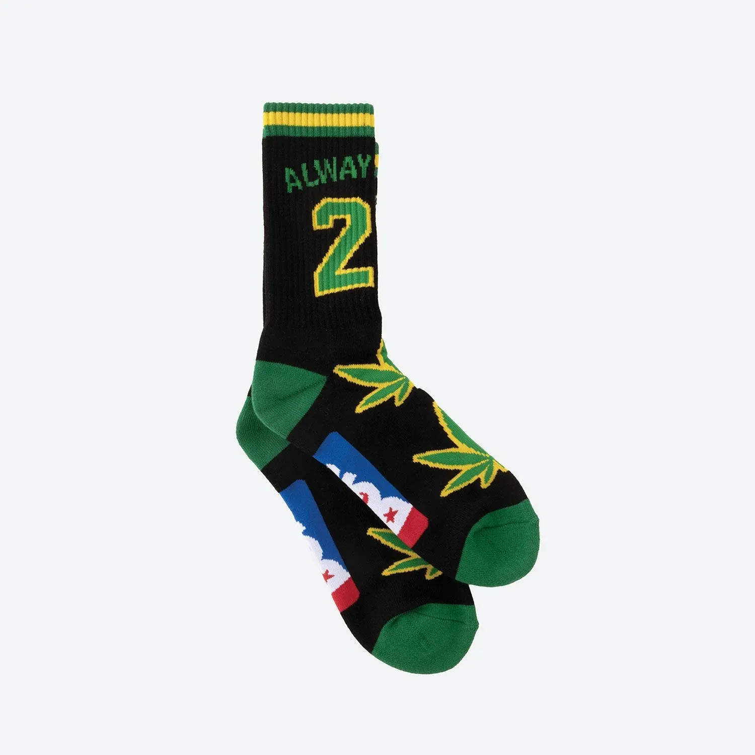 DGK Team Indica Crew Socks