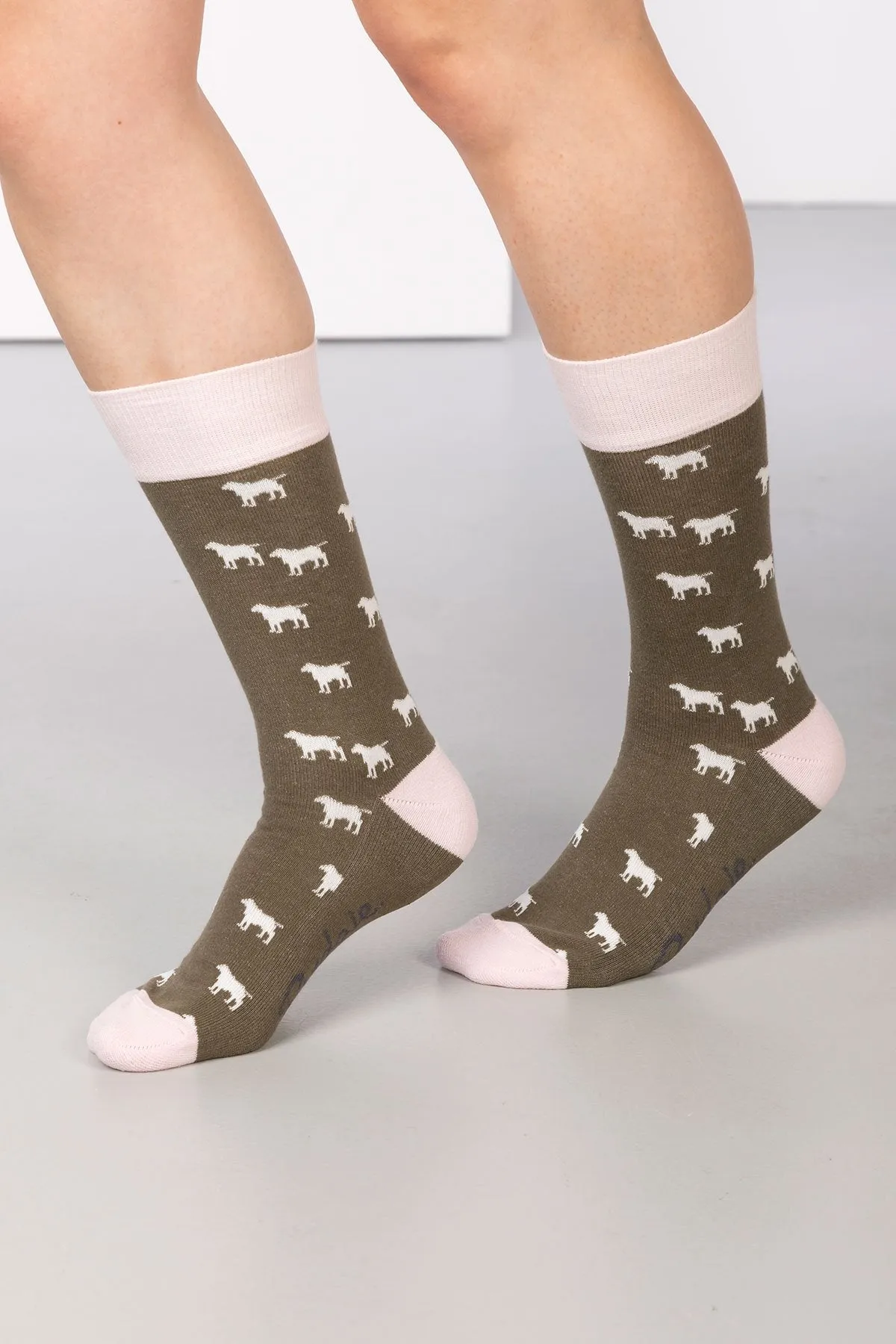 Ladies Wagging Dog Ankle Socks