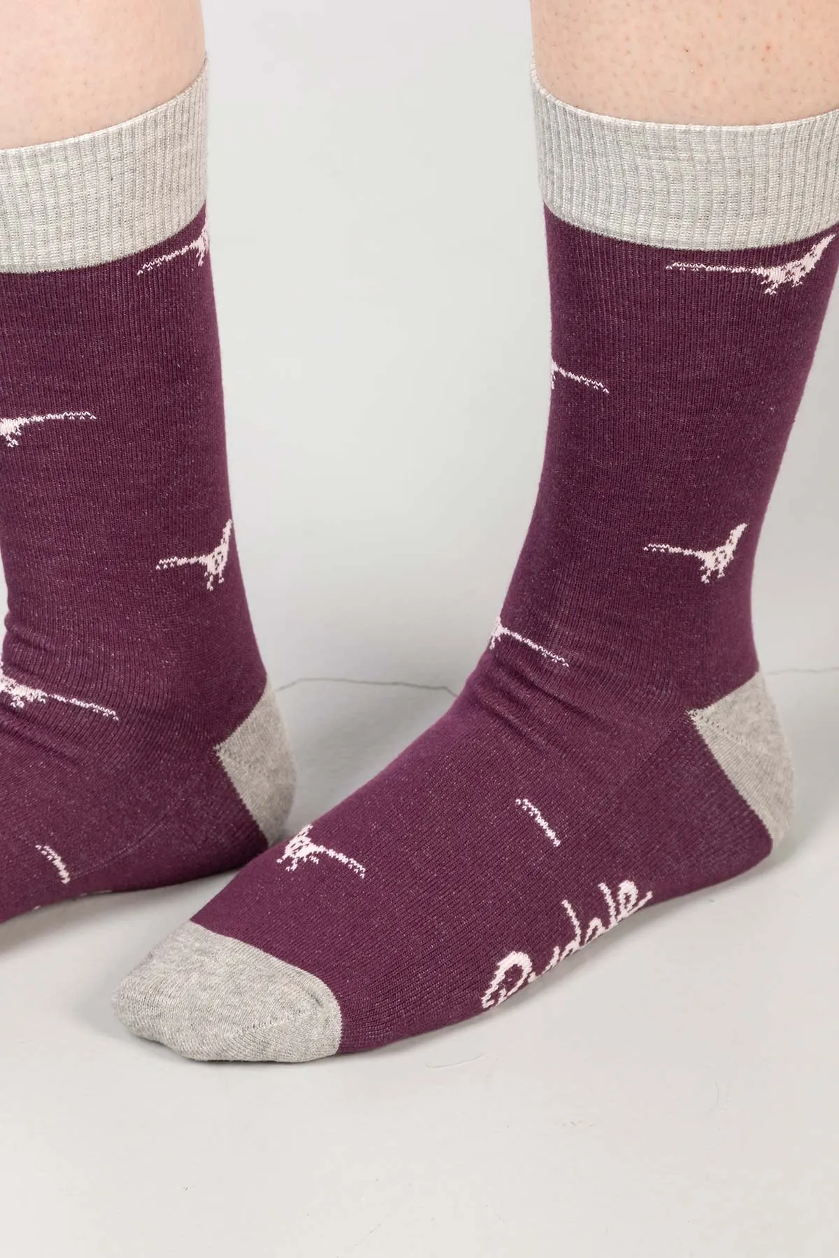 Ladies Walking Pheasants Ankle Socks