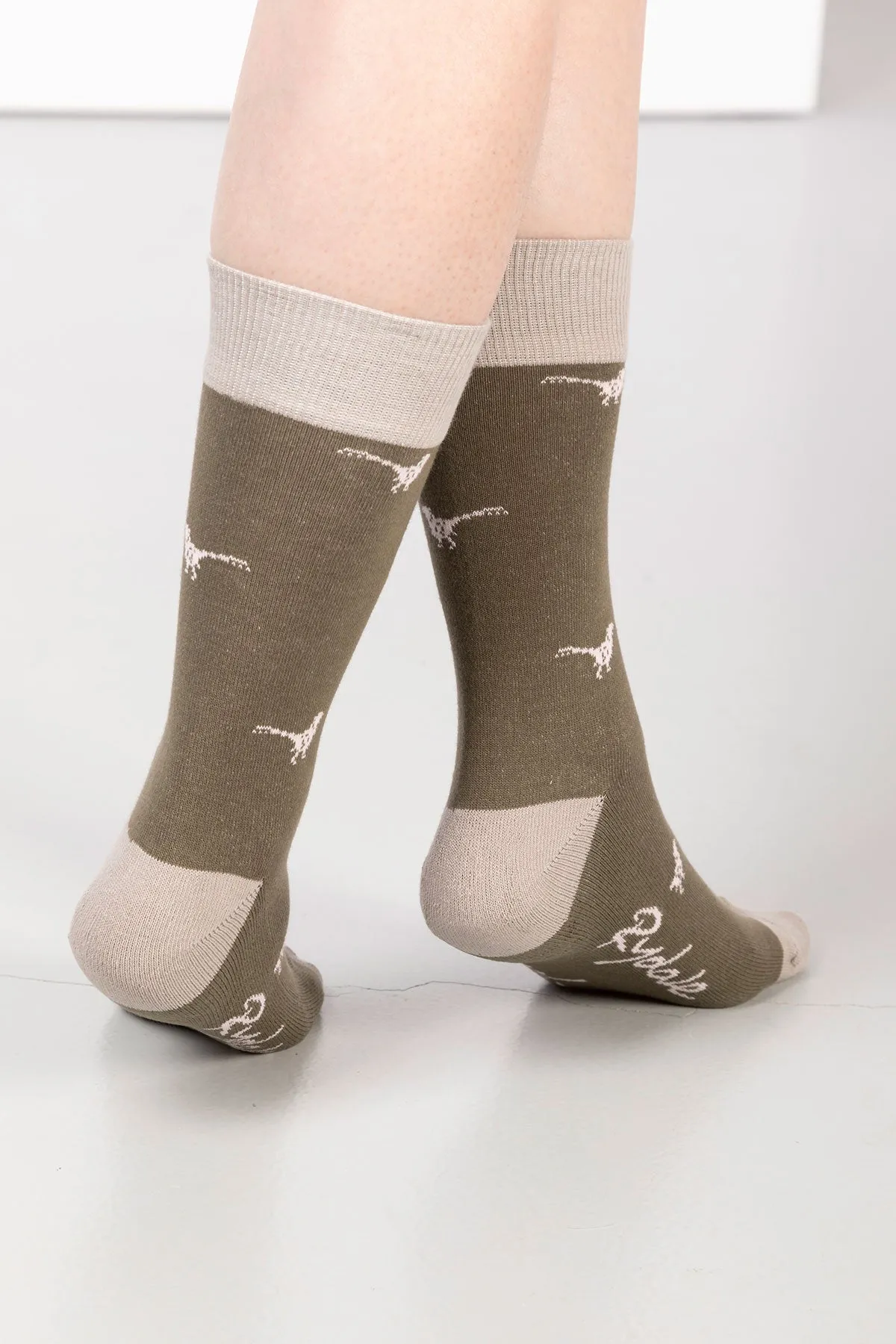 Ladies Walking Pheasants Ankle Socks