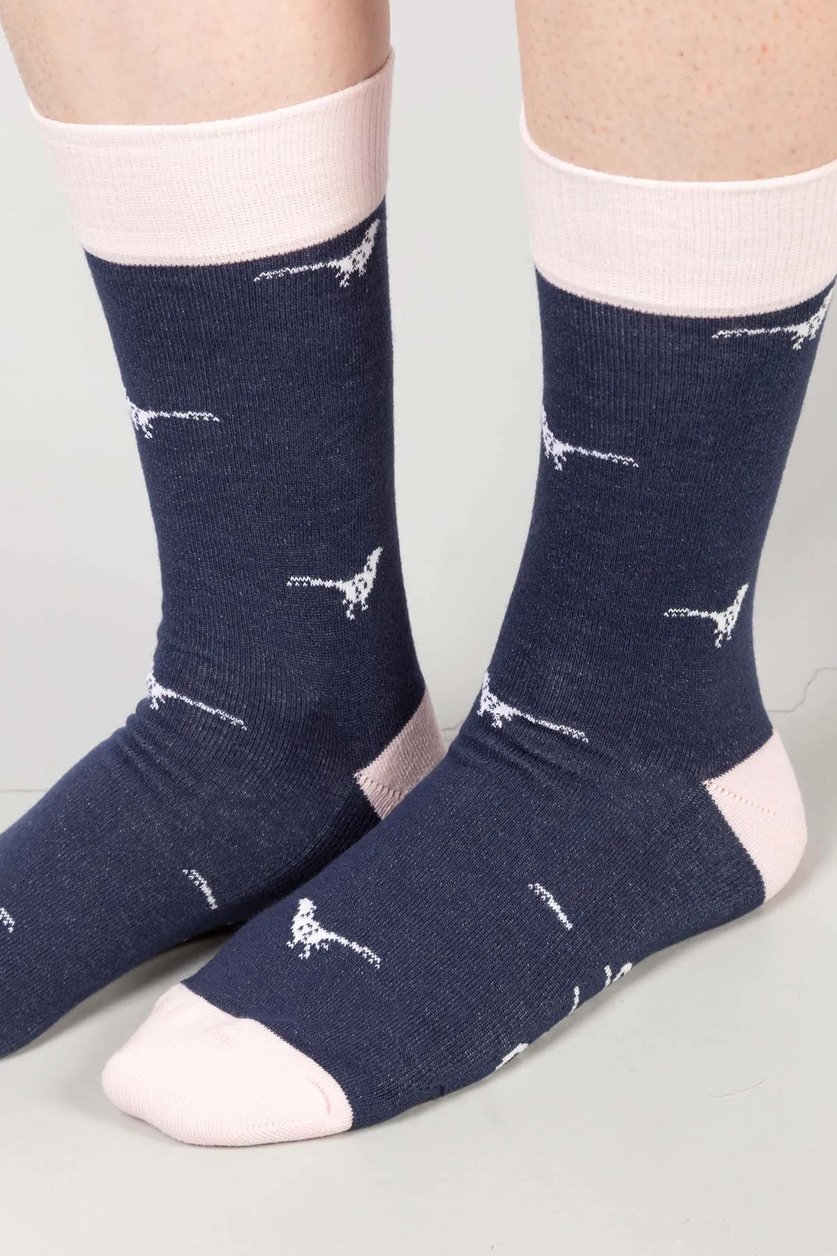 Ladies Walking Pheasants Ankle Socks