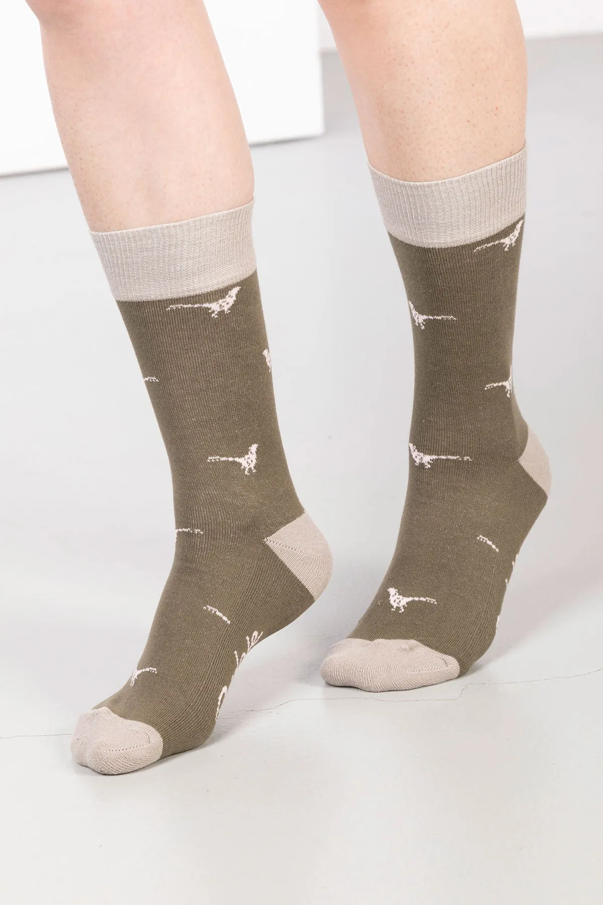 Ladies Walking Pheasants Ankle Socks