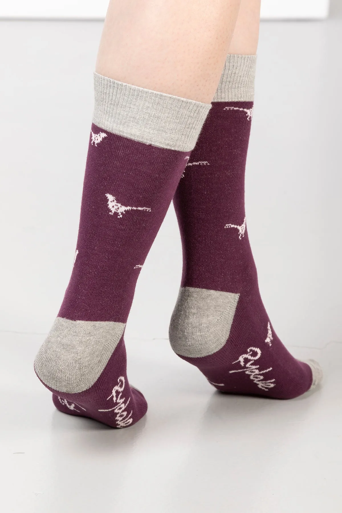 Ladies Walking Pheasants Ankle Socks