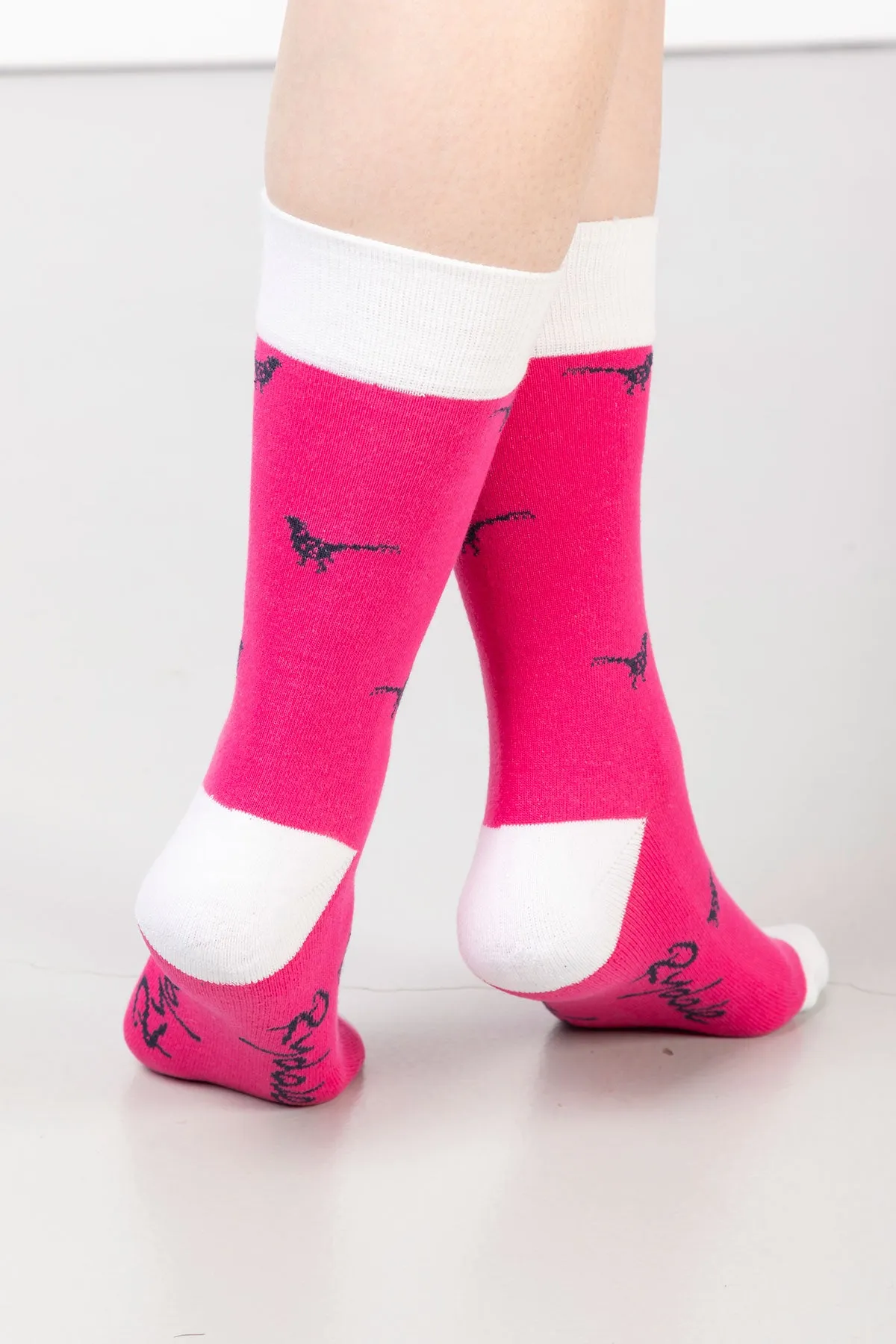 Ladies Walking Pheasants Ankle Socks