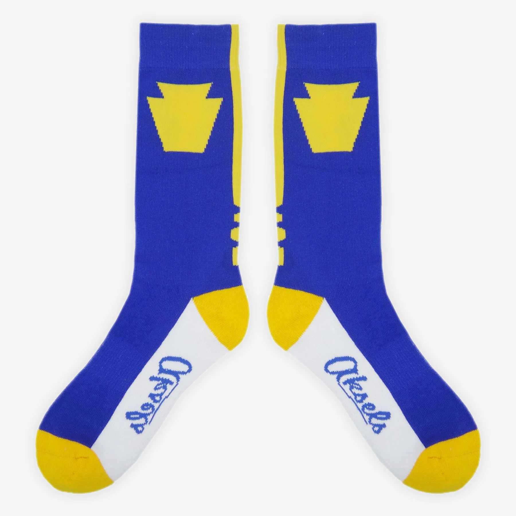 Pennsylvania Keystone State Socks