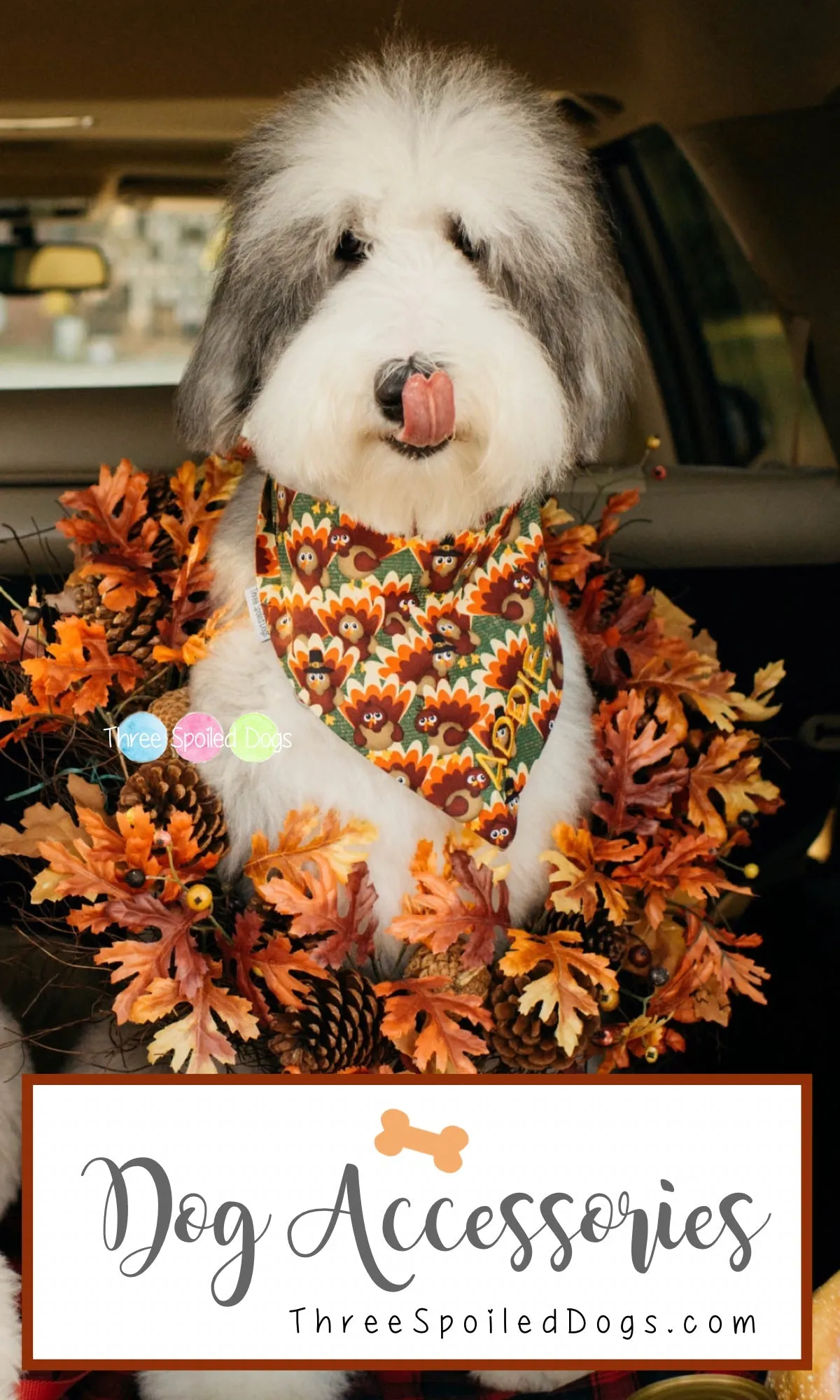 Pumpkins and Fall Harvest Pet Bandanas