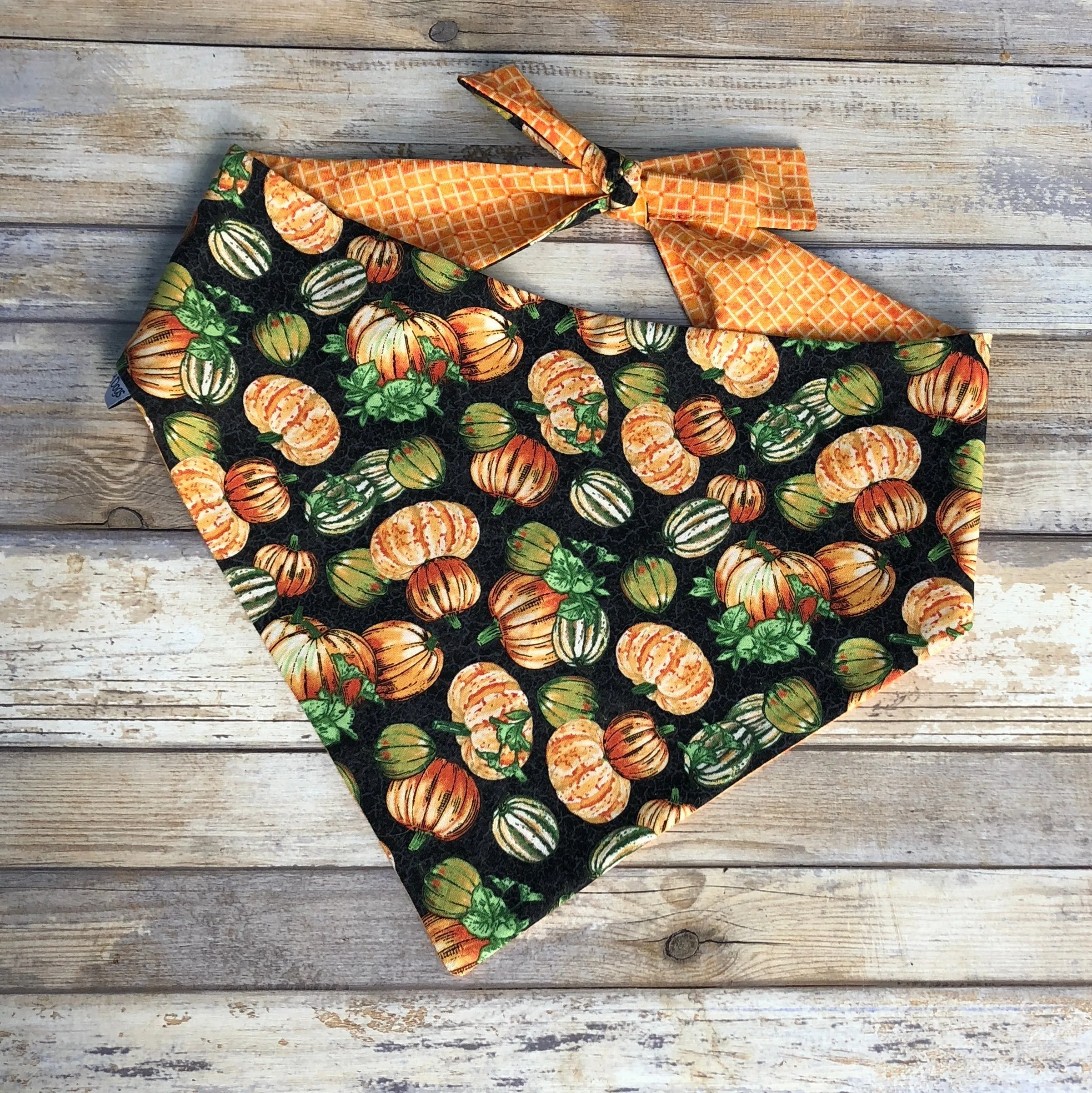 Pumpkins and Fall Harvest Pet Bandanas