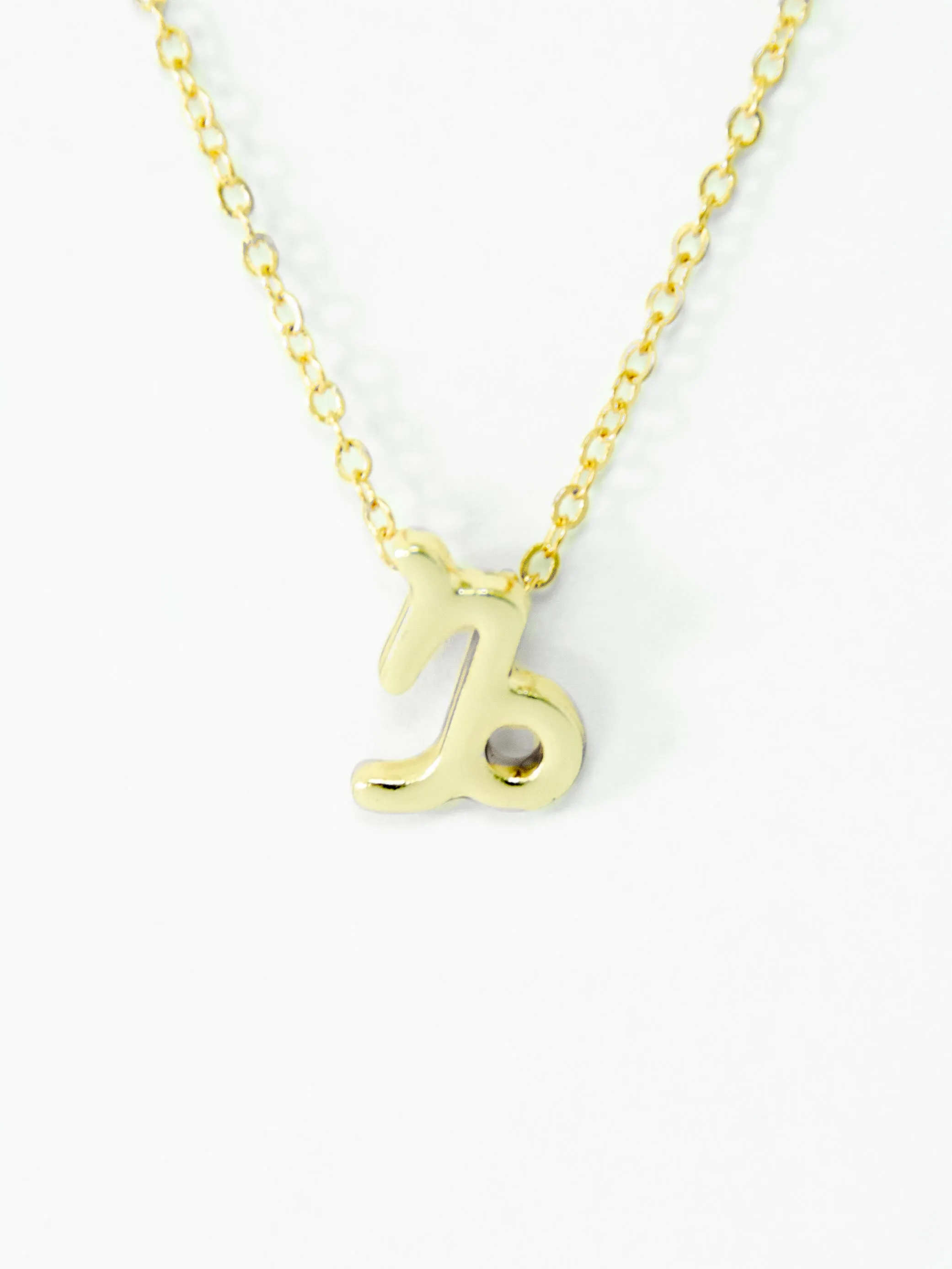 Zodiac Capricorn Astrological Necklace