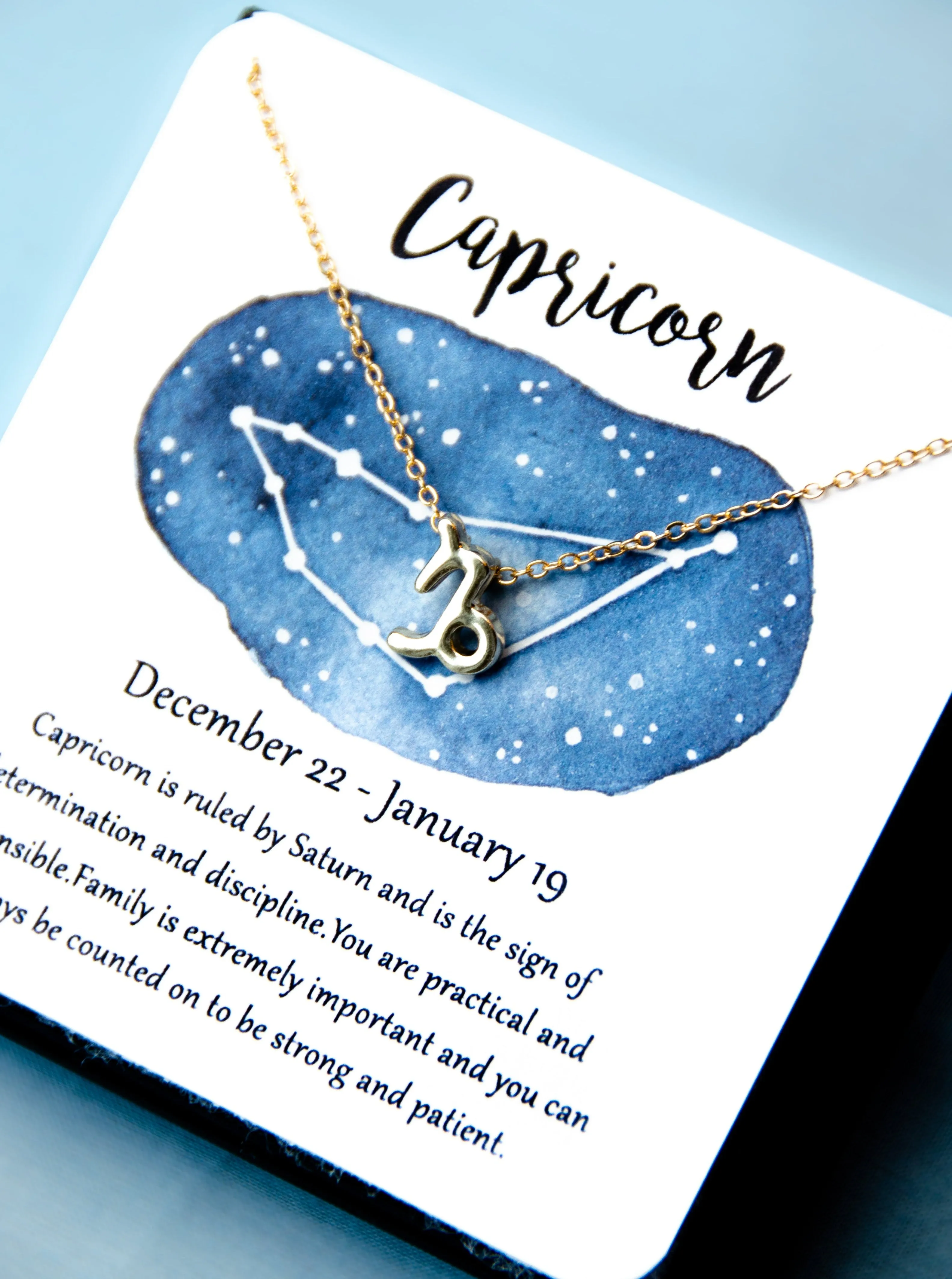 Zodiac Capricorn Astrological Necklace