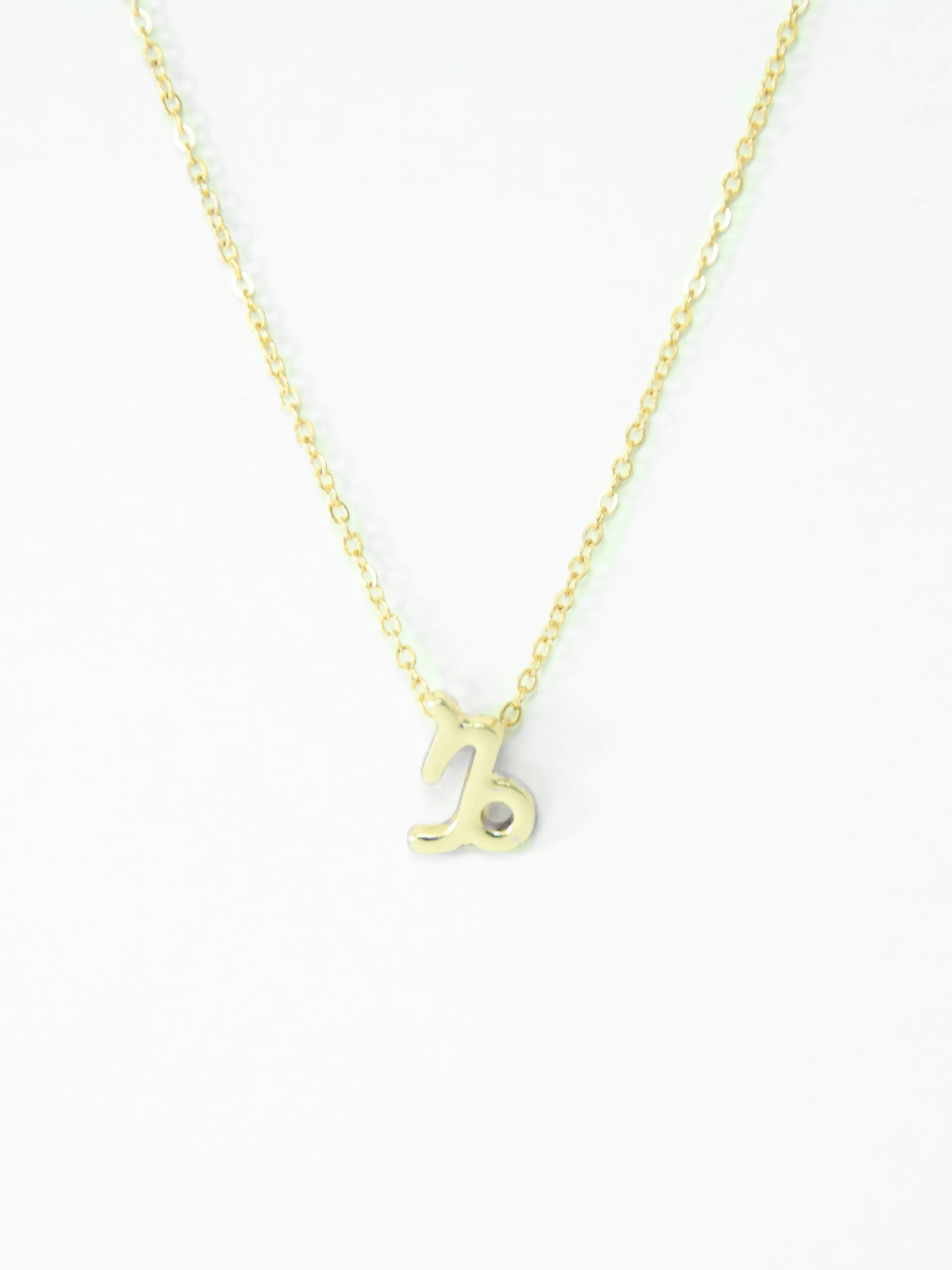 Zodiac Capricorn Astrological Necklace